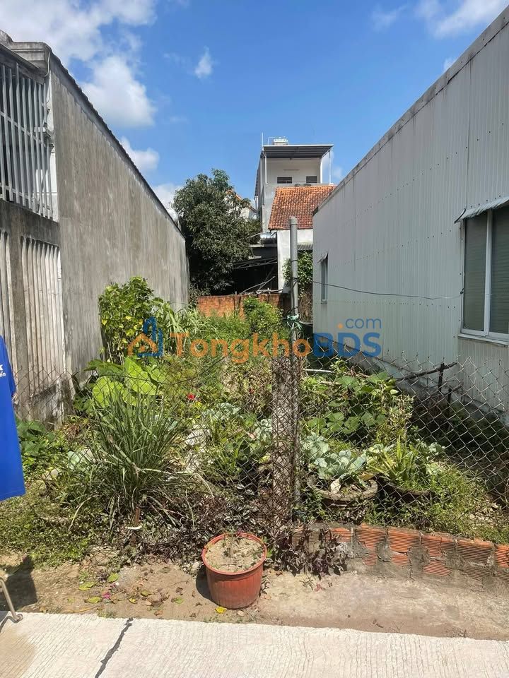 Đất nền Nghĩa Lộ Quảng Ngãi 125m² 1.6 tỷ - Sổ đỏ chính chủ