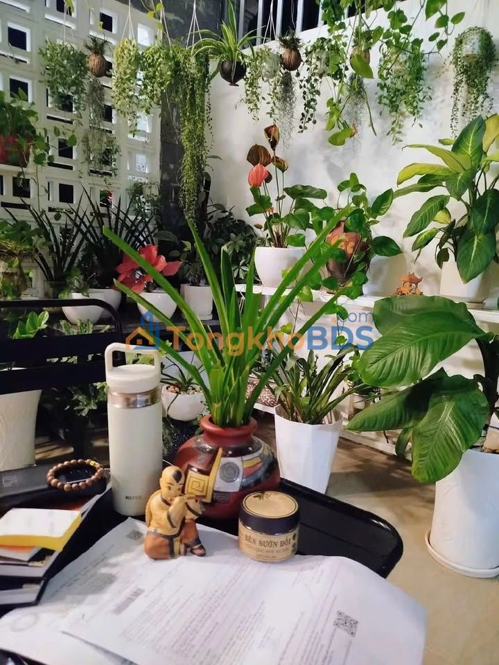 Mat bang Quang Trung Quang Ngai 50m2 6 trieu - Mat tien kinh doanh