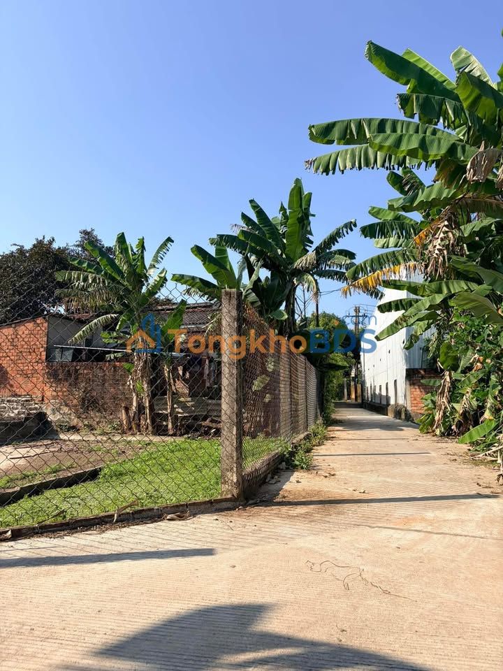 Đất nền VSIP Tịnh Phong 119m² giá 700-800 triệu - Sổ đỏ chính chủ