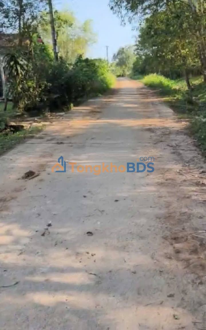 Đất nền Bình Thanh Đông 250m²/400-499 triệu - Đường ô tô