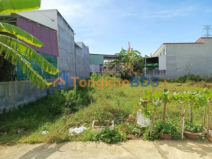 Đất thổ cư Hàm Thắng 100m²/810tr - Sổ đỏ rõ ràng