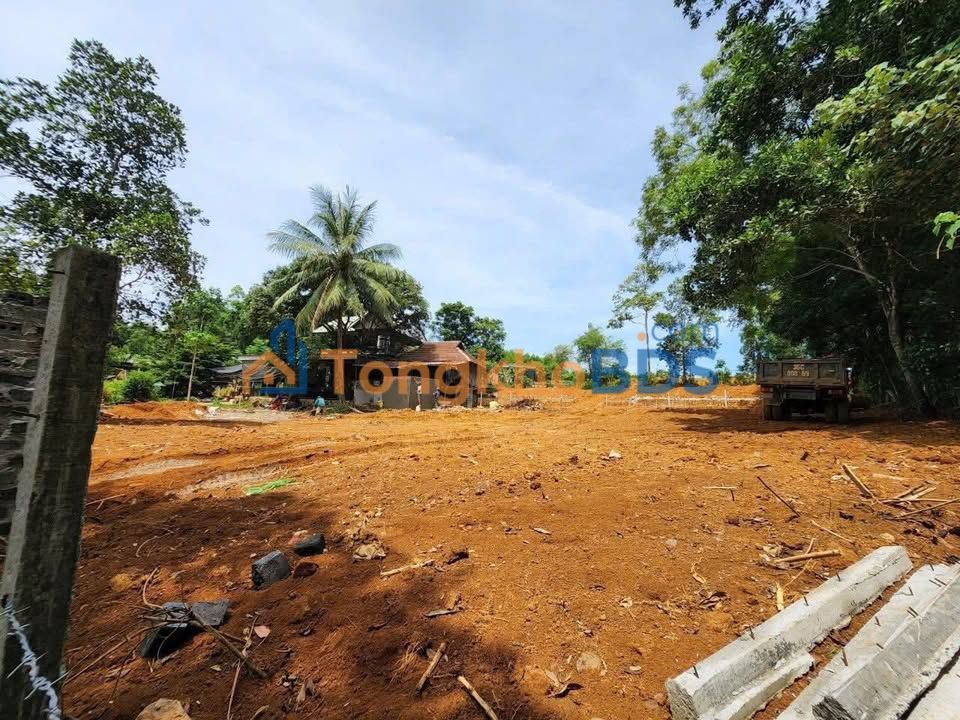 Bán đất 1000m² view hồ Lạc Sơn, Kỳ Sơn - Sổ đỏ sẵn sàng giao dịch