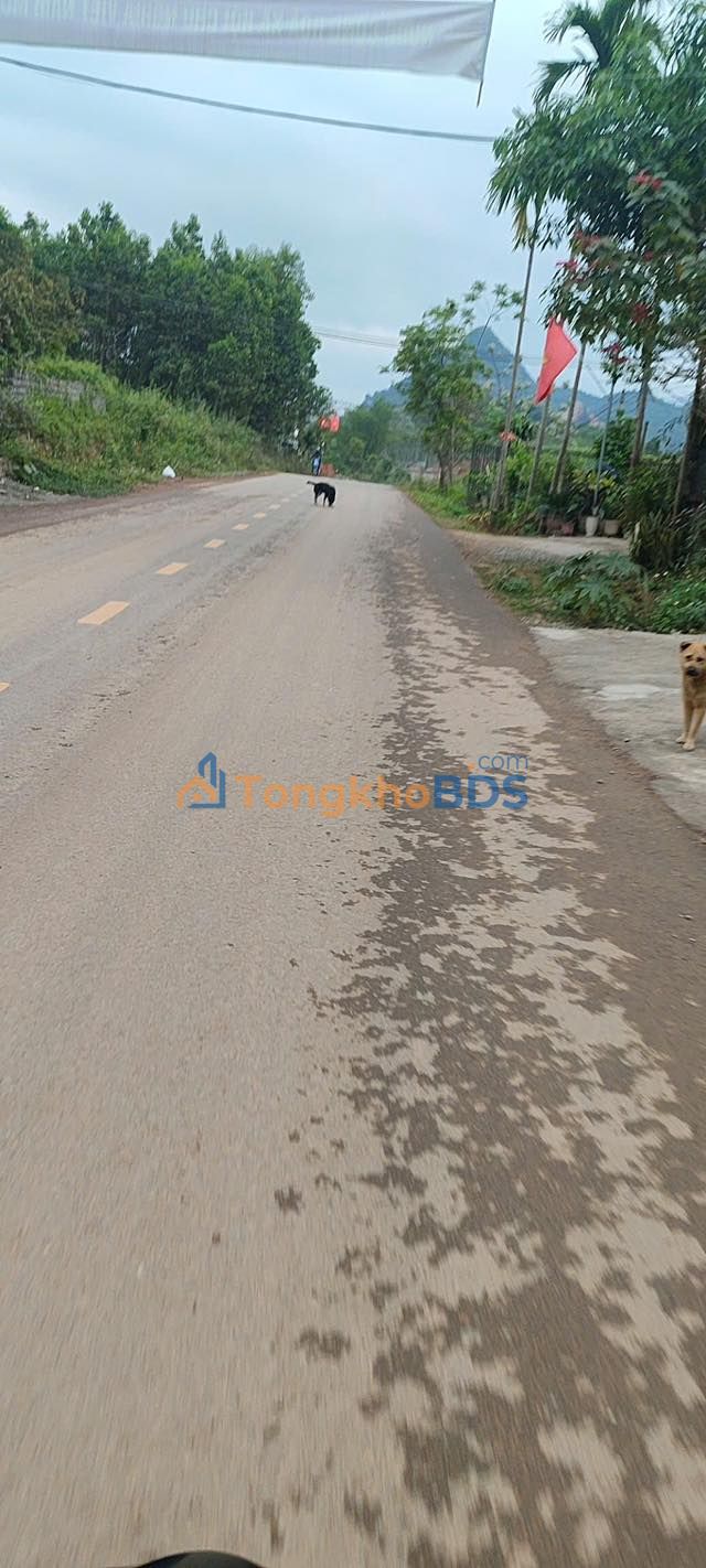 Đất Vàng Kim Bôi 3352m² - Lô Góc Hai Mặt Tiền, Sổ Hồng Sẵn Sàng