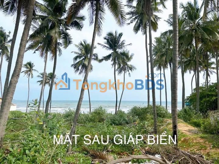 Đất nền Mũi Né Phan Thiết 1.850m² 25 tỷ - Sổ đỏ chính chủ