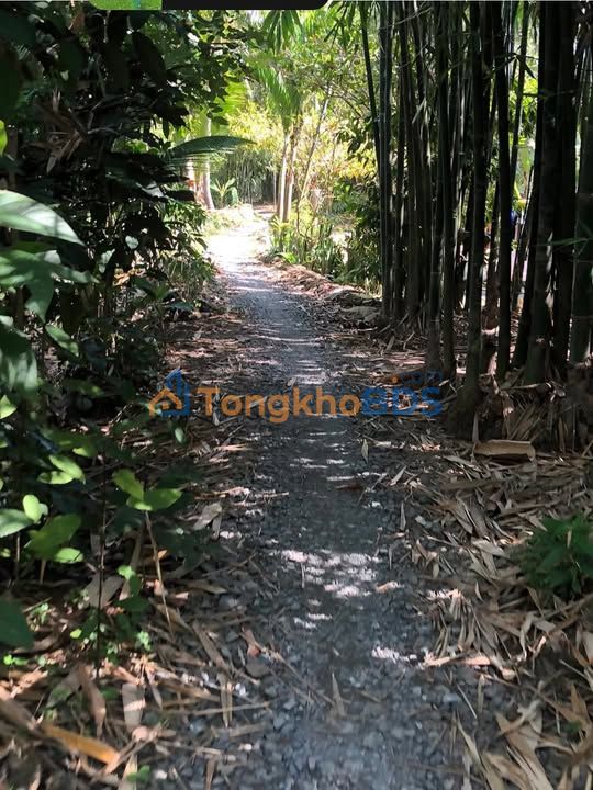 Đất nền Thới Hòa Ô Môn 145m² 450 triệu - Đất thổ cư 100%