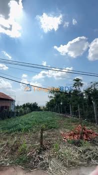 Đất thổ cư 350m² Liên Thôn, Đắk Lắk - Giá 1.45 tỷ, đầu tư sinh lời