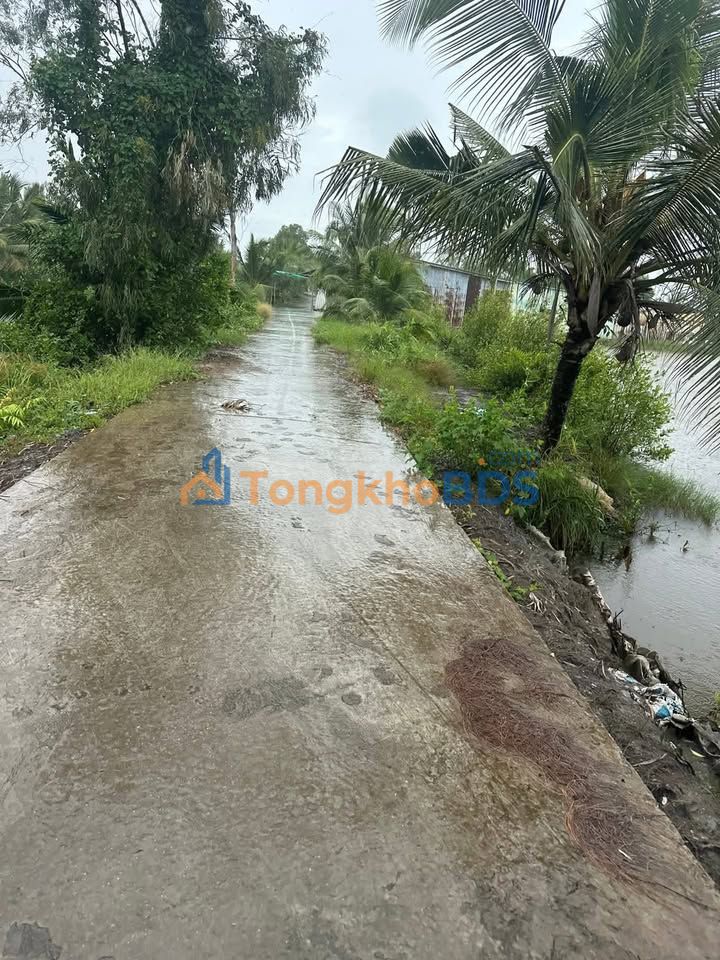 Đất Vườn Cà Mau 18.8ha - Sổ Hồng Rõ Ràng, Gần Cao Tốc Bắc Nam