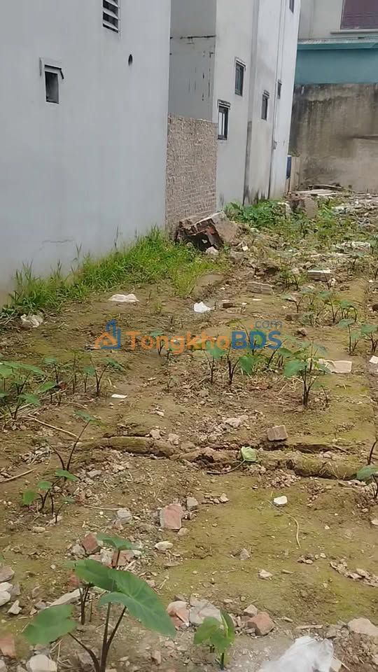 Đất nền Aeon Long Biên 62m² giá thỏa thuận - Sổ đỏ chính chủ