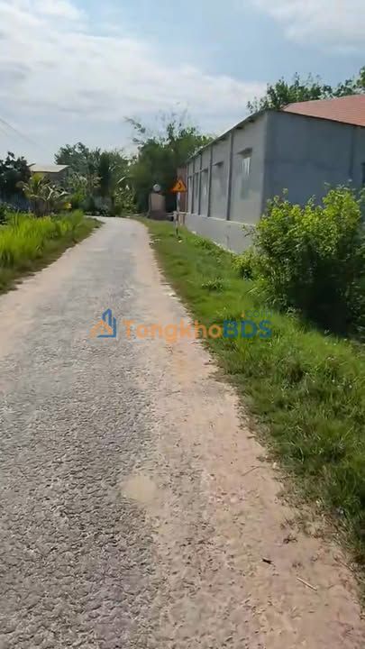 Đất thổ cư Phường Long Thành Trung Tây Ninh 1.560m² 149tr - Sổ đỏ chính chủ
