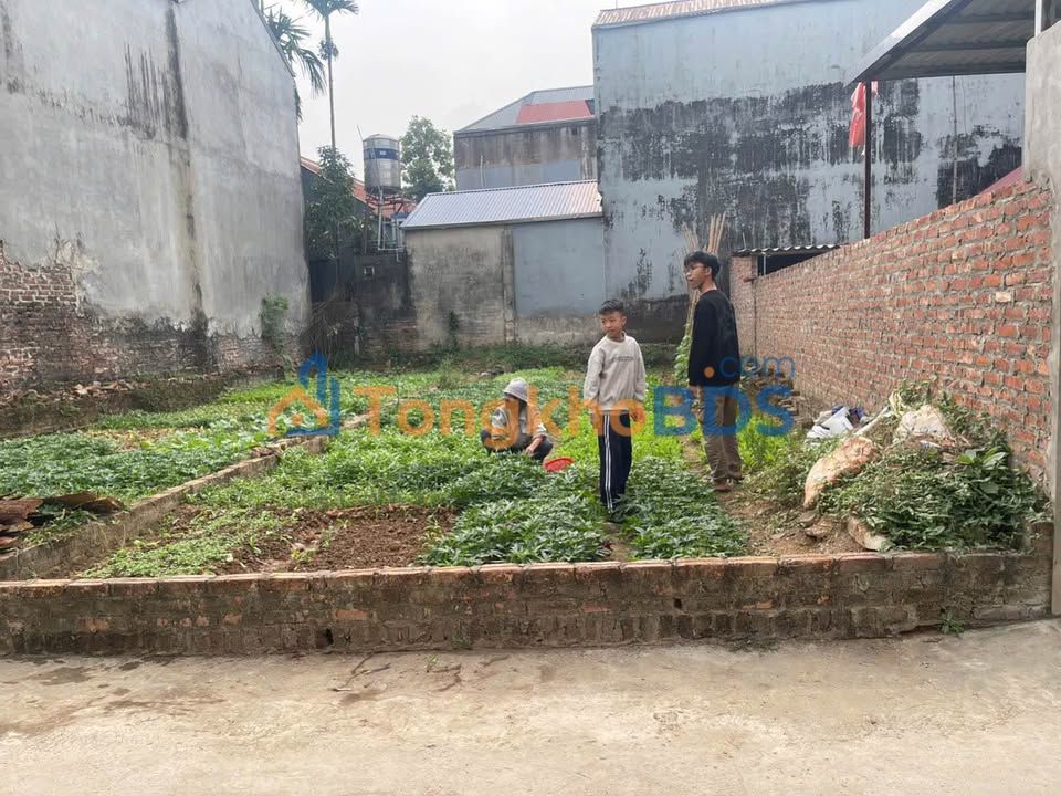 Đất nền Đức Hoà Sóc Sơn 96m² 1,1 tỷ - Ô tô vào tận đất