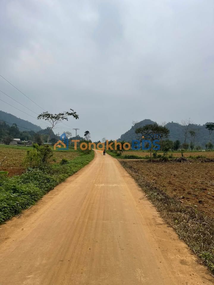 Đất Vị Xuyên Hà Giang 800m² - Trục Chính Phong Quang, Giá Đầu Tư 3.5 Tỷ