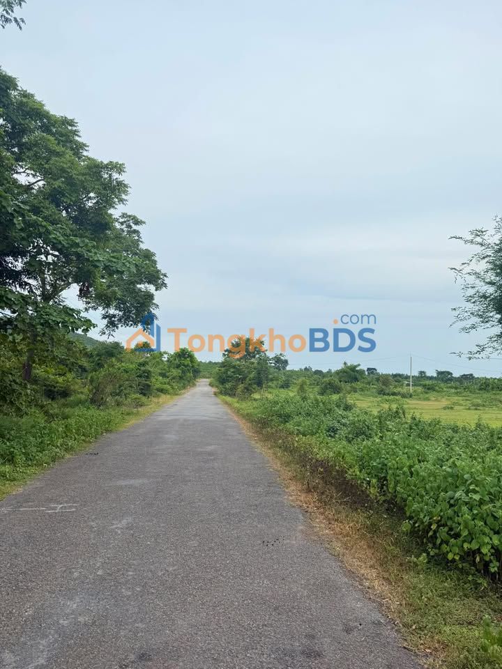 Đất Vườn Tuy Phong 1541m² Mặt Tiền Nhựa 23m - Giá Đầu Tư 950 Triệu