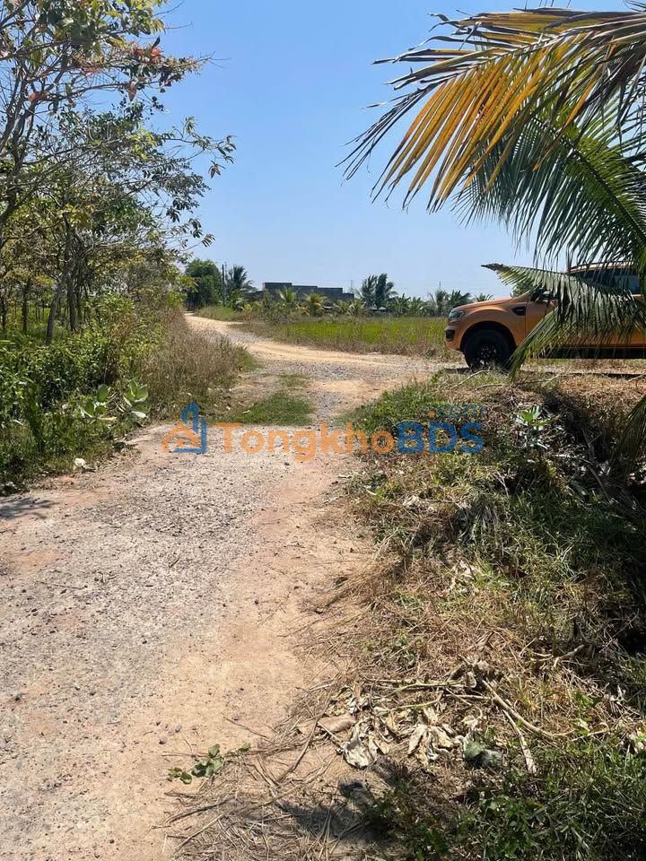 Farm Hàm Chính 1.440m² 960 triệu - Đầu tư dài hạn