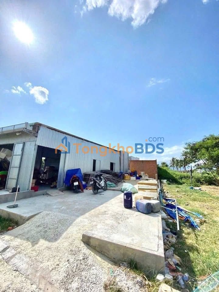 Đất Nền Xã Chí Công, Tuy Phong - 100m² Giá 230 Triệu - Lô Cuối Cực Tốt