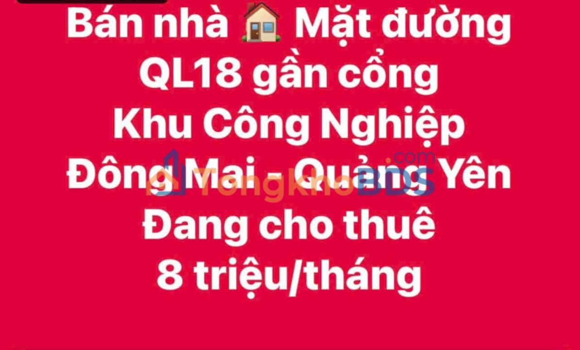 Nhà mặt đường QL18 Quảng Yên 85m² 3 tỷ - Mặt tiền KD