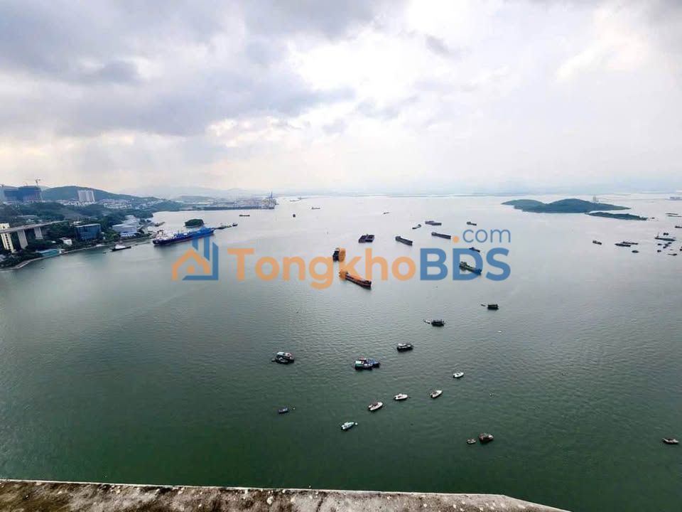 Căn hộ 52m² Diamond Hạ Long - View Biển Đón Gió, Giá Hời 2.xx Tỷ