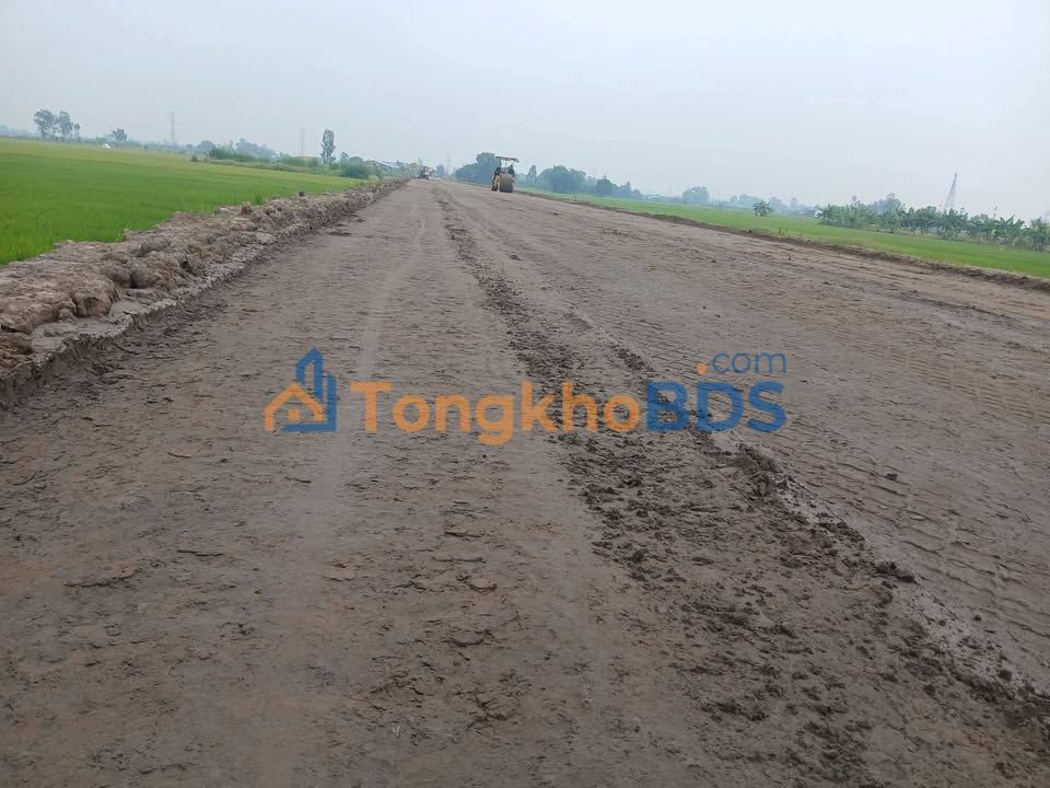 Đất nền Gò Công Đông 1.900m² 3,3 tỷ - Sổ đỏ chính chủ