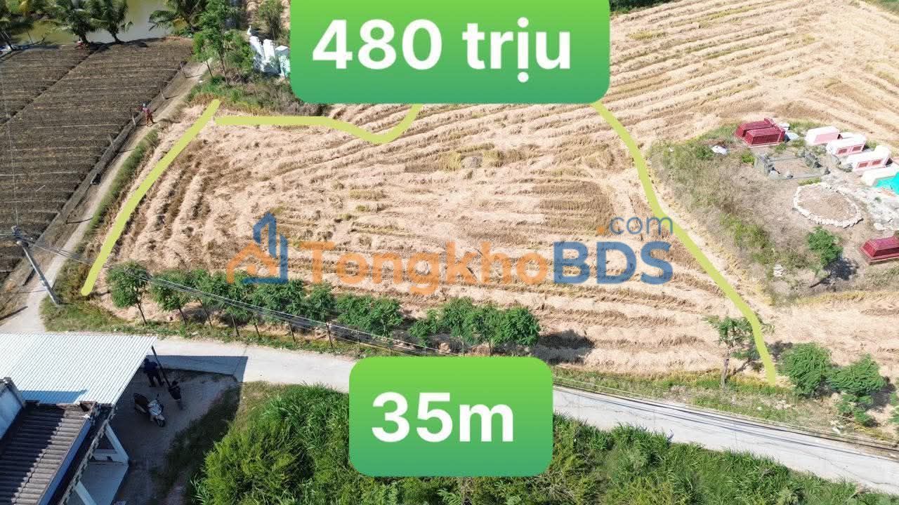 Đất nền Tân Đông Tiền Giang 1000m² 480 triệu - Sổ đỏ chính chủ