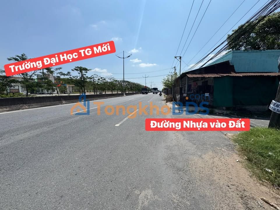 Đất Vàng Mỹ Tho 993m² Đối Diện Đại Học Tiền Giang - Giá Rẻ Cần Bán Gấp!
