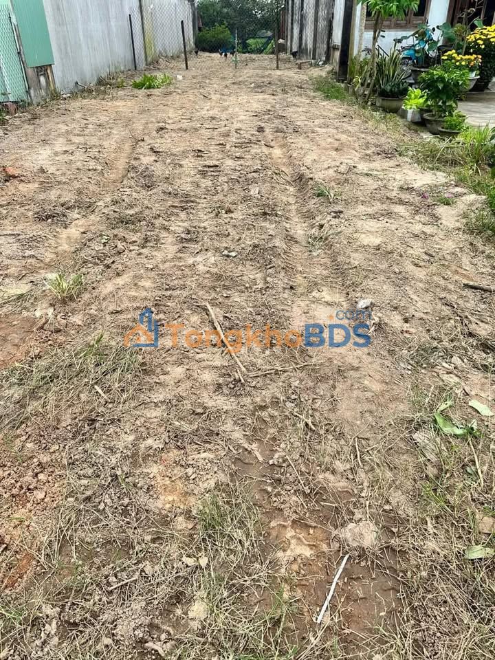 Đất nền QL19 Bình Hòa 125m² 1.2 tỷ - Pháp lý rõ ràng