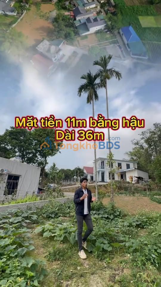 Đất nền Liên Sơn Chương Mỹ 365m² 1.825 tỷ - Sổ đỏ chính chủ