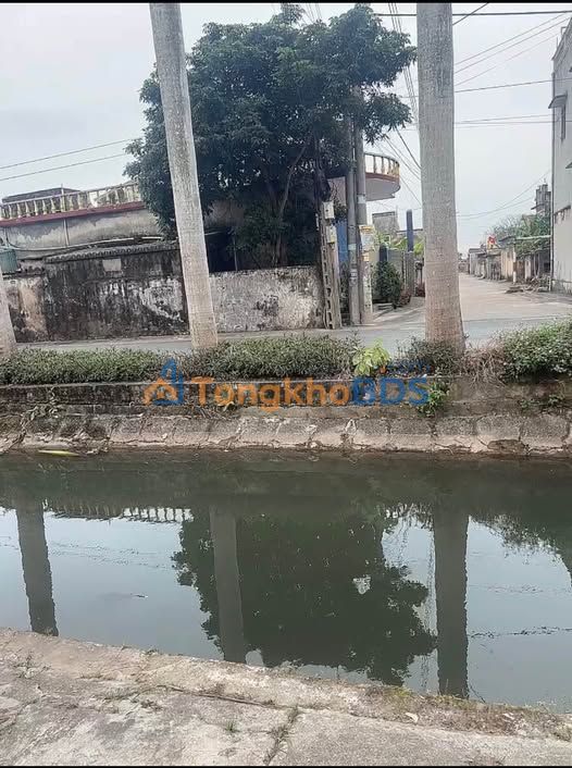 Bán Gấp 4 Lô Đất Tiền Hải 71m² Full Thổ Cư, Giá F0 Chỉ Từ 2xx Triệu