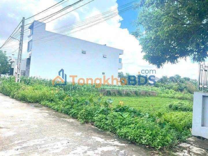 Đất nền Nam Hà Tiền Hải 128m² 8xx triệu - Đường to ô tô