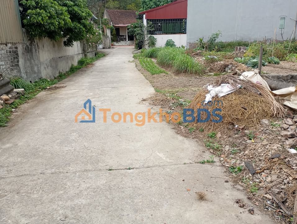 Đất nền Từ Sơn 99m² 1 tỷ - Tiềm năng tăng giá