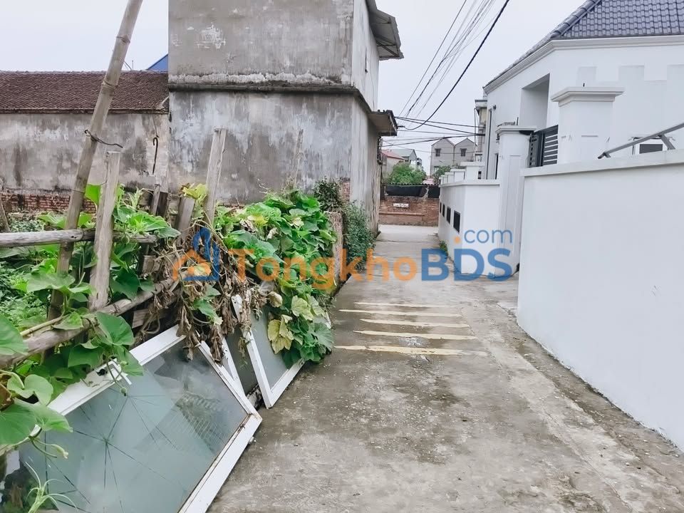 Đất thổ cư Phù Lãng Quế Võ 560m² 1 tỷ - Sổ đỏ chính chủ