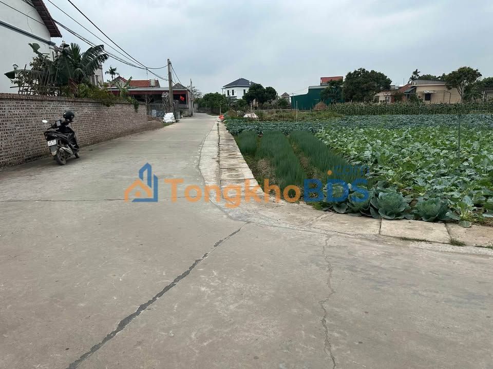 Đất nền Lương Tài 105m² giá 2.4 tỷ - Đường to ô tô
