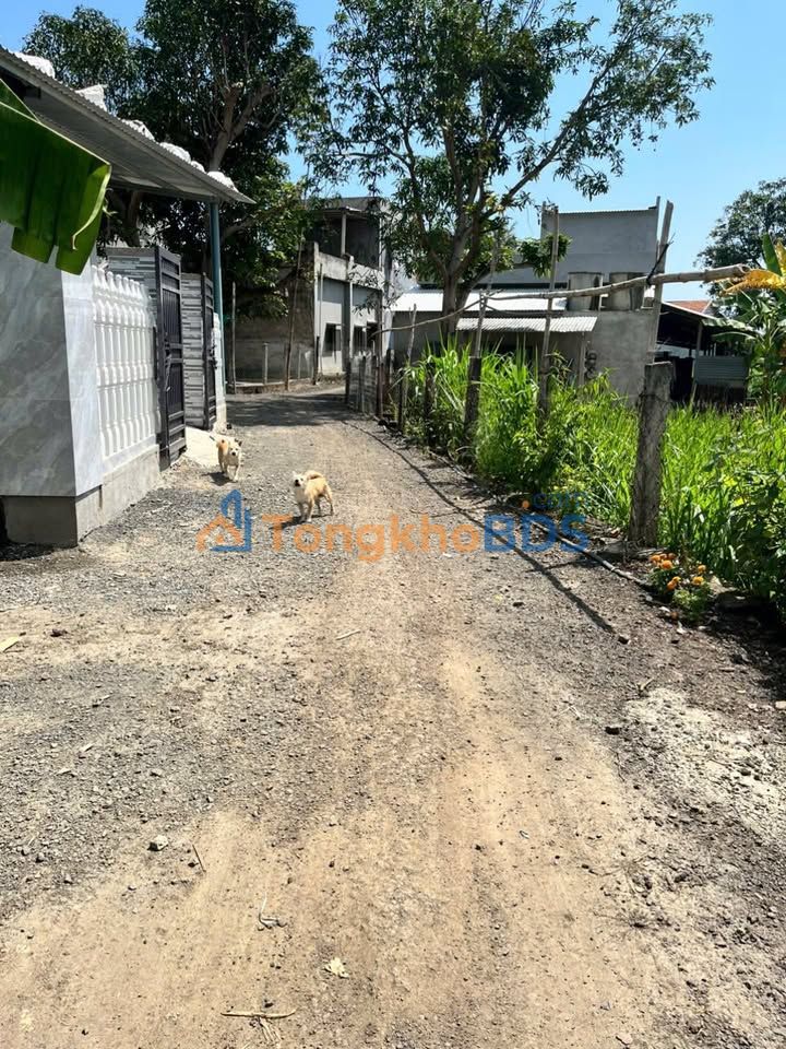 Đất nền An Mỹ Tuy An 140m² 0.5 tỷ - Sổ đỏ chính chủ