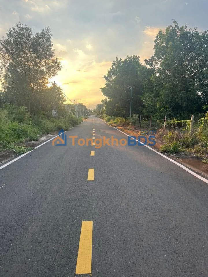 Đất Nền Mặt Tiền Nhựa Đồng Xoài 100m² - Sổ Đỏ Sẵn Sàng