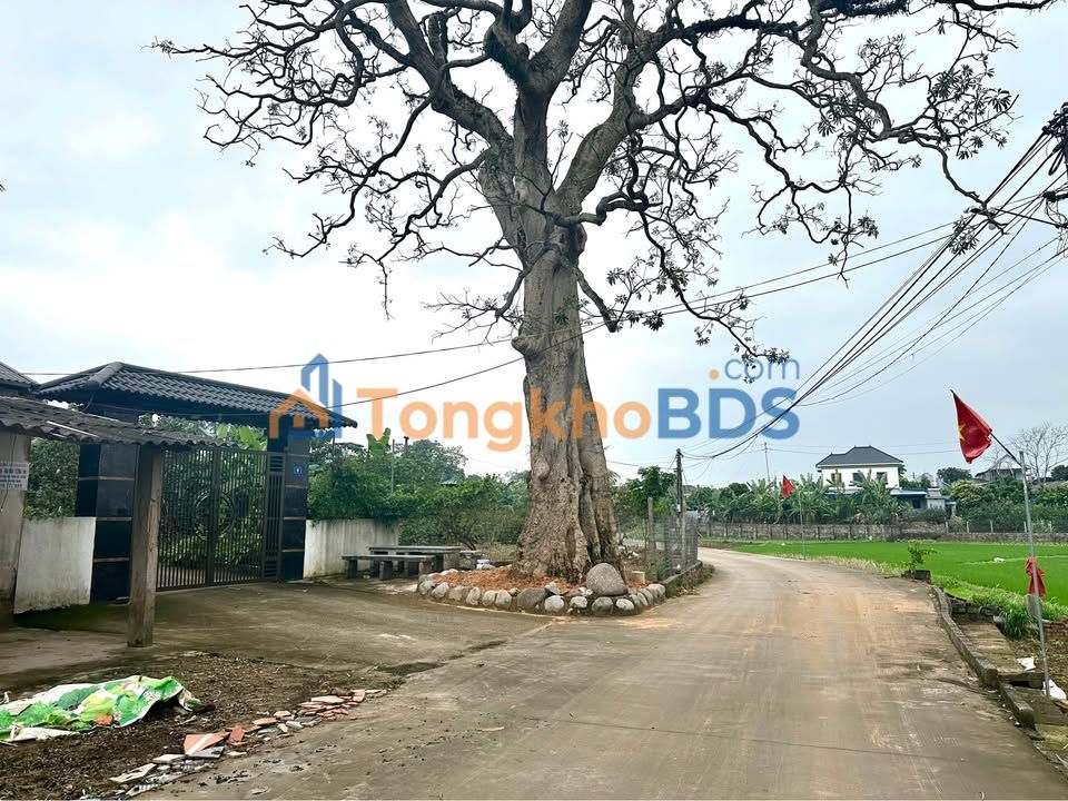 Đất nền Lương Sơn Sông Công 124m² 1 tỷ - Sổ đỏ chính chủ