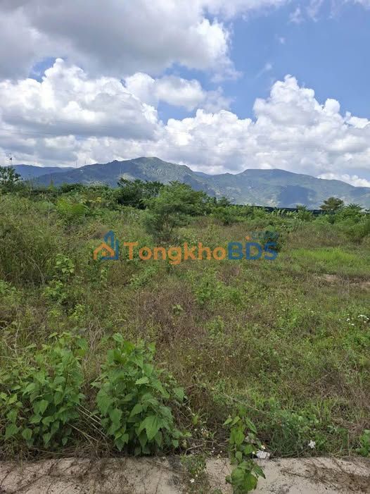 Đất Nền Cam Lâm 90m² Gần Chợ Suối Cát - Sổ Hồng Sẵn Sàng