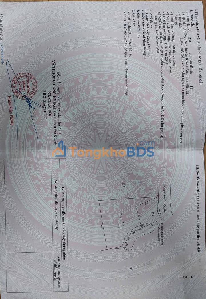 Bán Đất Nền Quỳnh Lưu, Nghệ An 1620m² - Sổ Hồng Sẵn Sàng