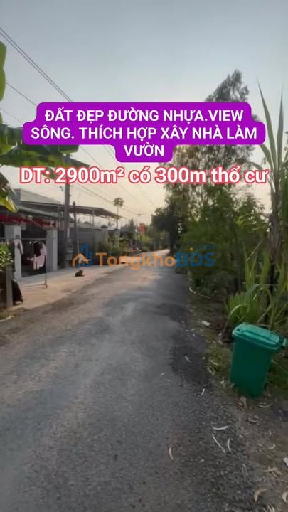 Đất vườn Hậu Mỹ Bắc A 2900m² - Đầu tư dài hạn