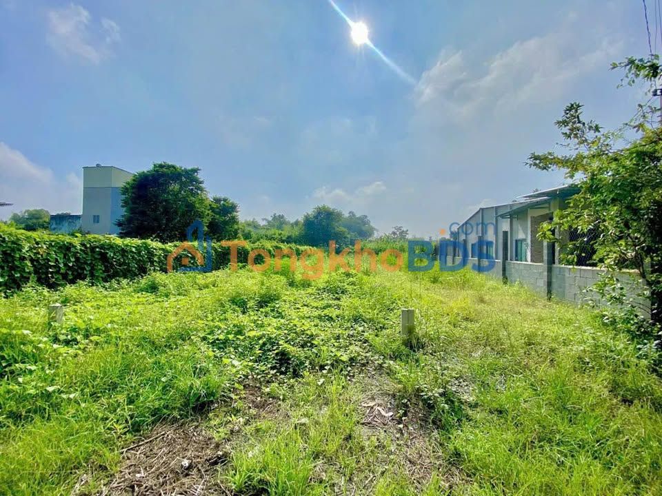 Đất Mặt Tiền Đỗ Quang Cơ Củ Chi 132m² - Sổ Hồng, Xây Tự Do