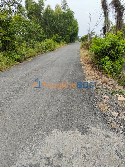 Bán Đất Vườn 8000m² Tiền Giang - Mặt Tiền Đường Xe Tải