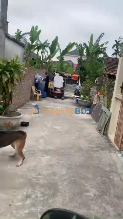 Bán Gấp Đất Xích Thổ Kiến Thụy, 61m² Sổ Hồng - Giá 1.45 Tỷ