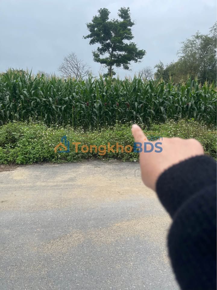 Bán đất nền 131.4m² Đức Phổ, Quảng Ngãi - Sổ hồng sẵn, giá 1.6 tỷ