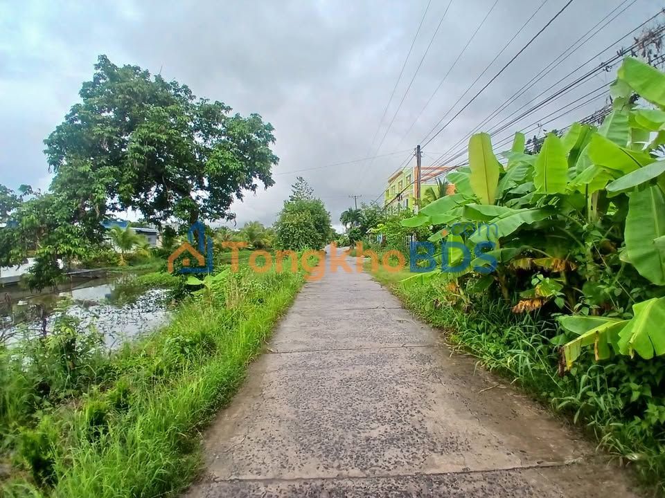 Đất mặt tiền Lễ Quyền Cà Mau 300m² 1 tỷ - Hạ tầng hoàn thiện