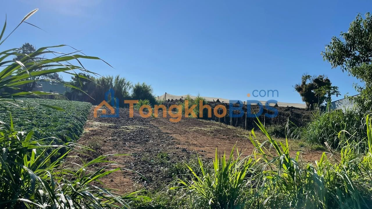 Bán Đất Kado - Đơn Dương - Lâm Đồng 180m² - Giá 850 Triệu