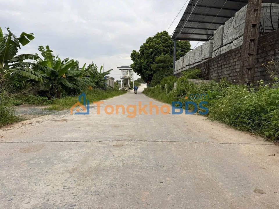 Đất Vườn Sài Sơn 372m² - F0 Quốc Oai, Sẵn Sàng Đầu Tư Sinh Lời