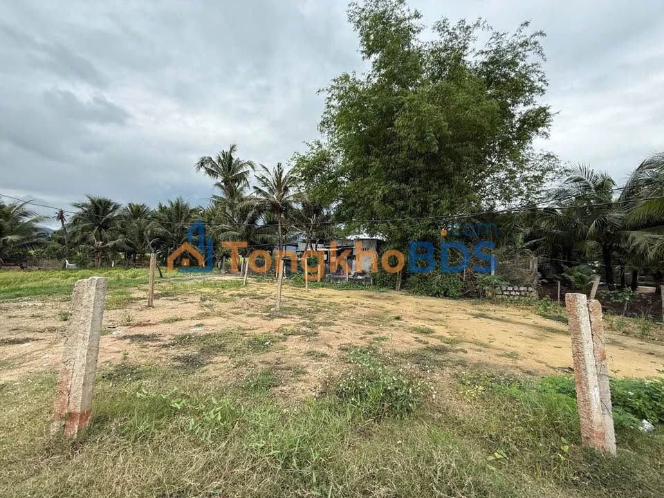 Đất nền Ninh Giang 73m² 370 triệu - Sổ đỏ chính chủ