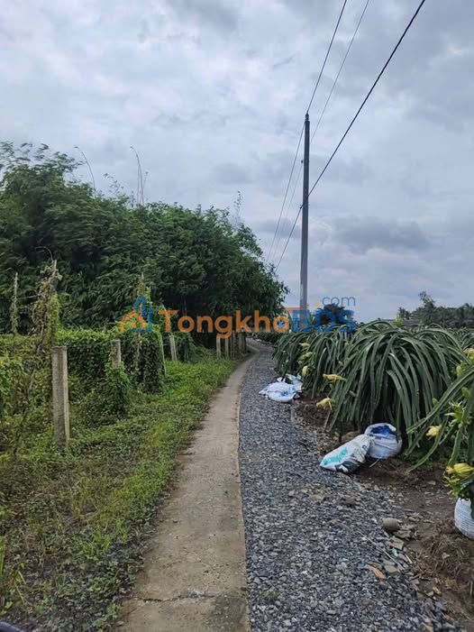 Đất nền Tháp Mười 332m² 330 triệu - Sổ đỏ chính chủ