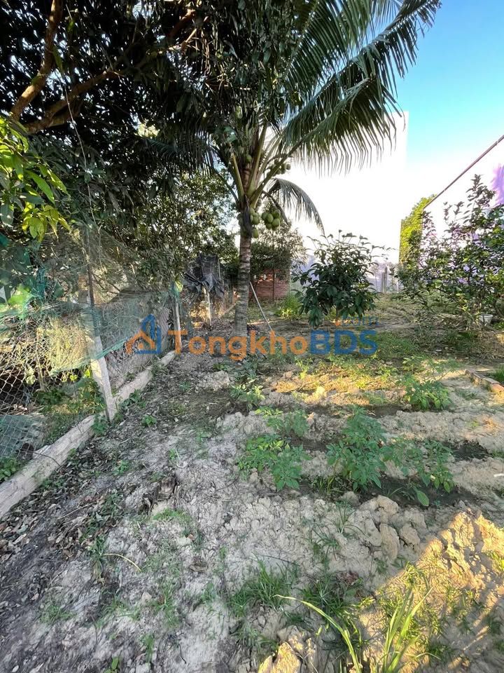 Đất nền Diên Lâm Diên Khánh 190m² 1.05 tỷ - Sổ đỏ chính chủ