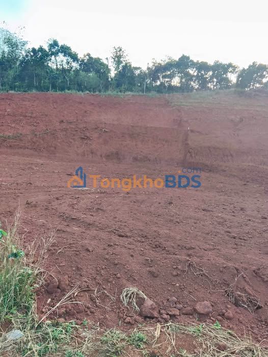 Đất nền Gia Nghĩa QL28B 1.008m² 350 triệu - Sổ đỏ chính chủ