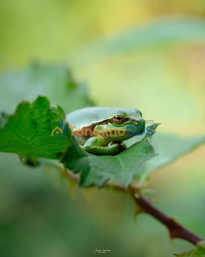 Bán Gấp 17.400m² Đất Ruộng Mặt Kênh Thủy Lợi, Tân Hiệp, Kiên Giang