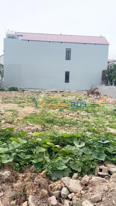 Đất Nền Thổ Cư 413m² - Mặt Tiền 16m Đường Thông, Yên Dũng, Bắc Giang