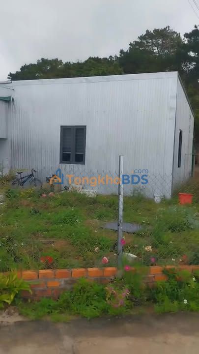 Đất Nền Thạnh Mỹ 120m² - Tựa Đồi Thông, Không Khí Trong Lành - Giá Tốt